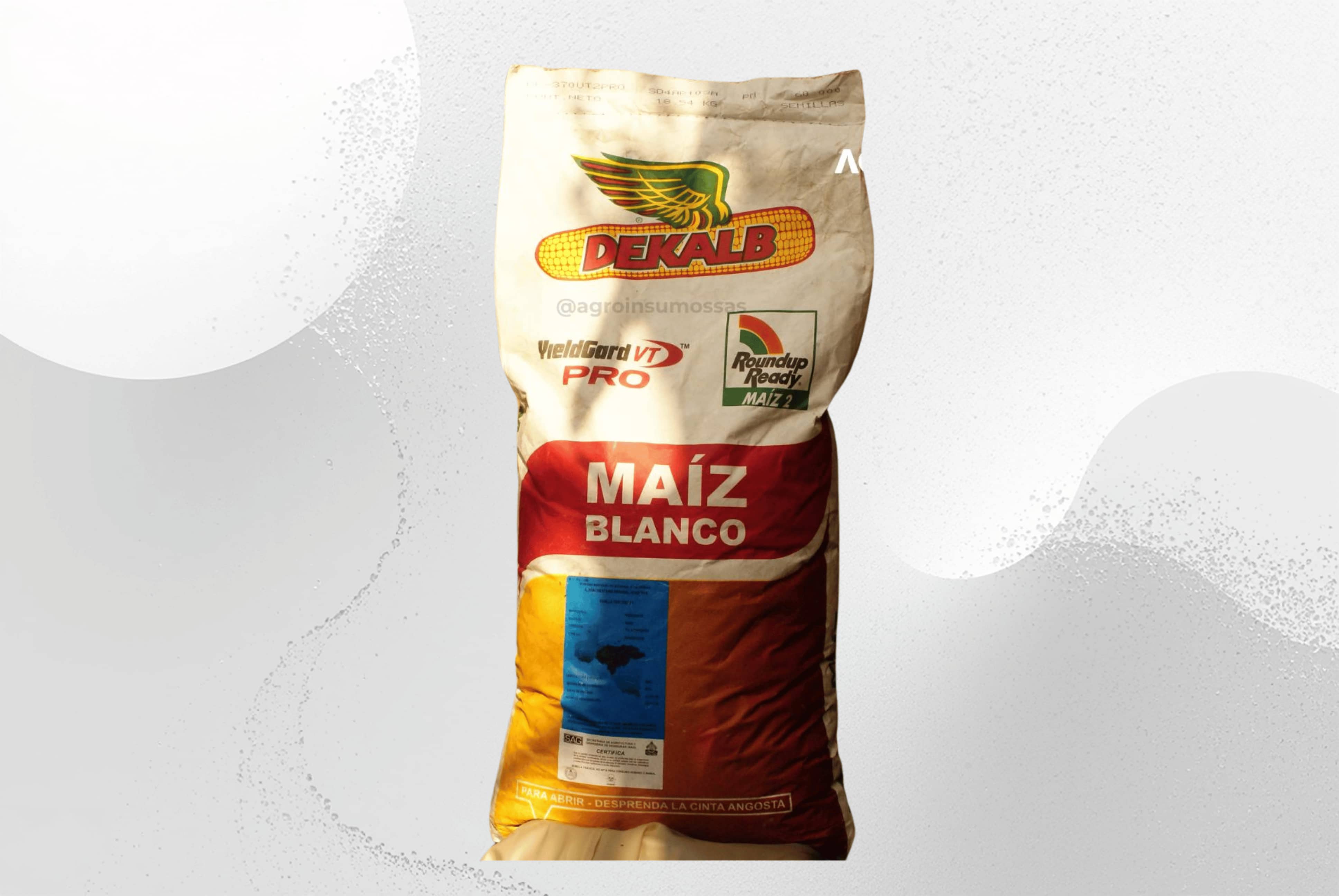 Semilla Maíz Blanco DK 415 VT3Pro | 60.000 Semillas