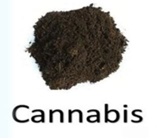 Sustrato de Coco - Cannabis x 100 Lt