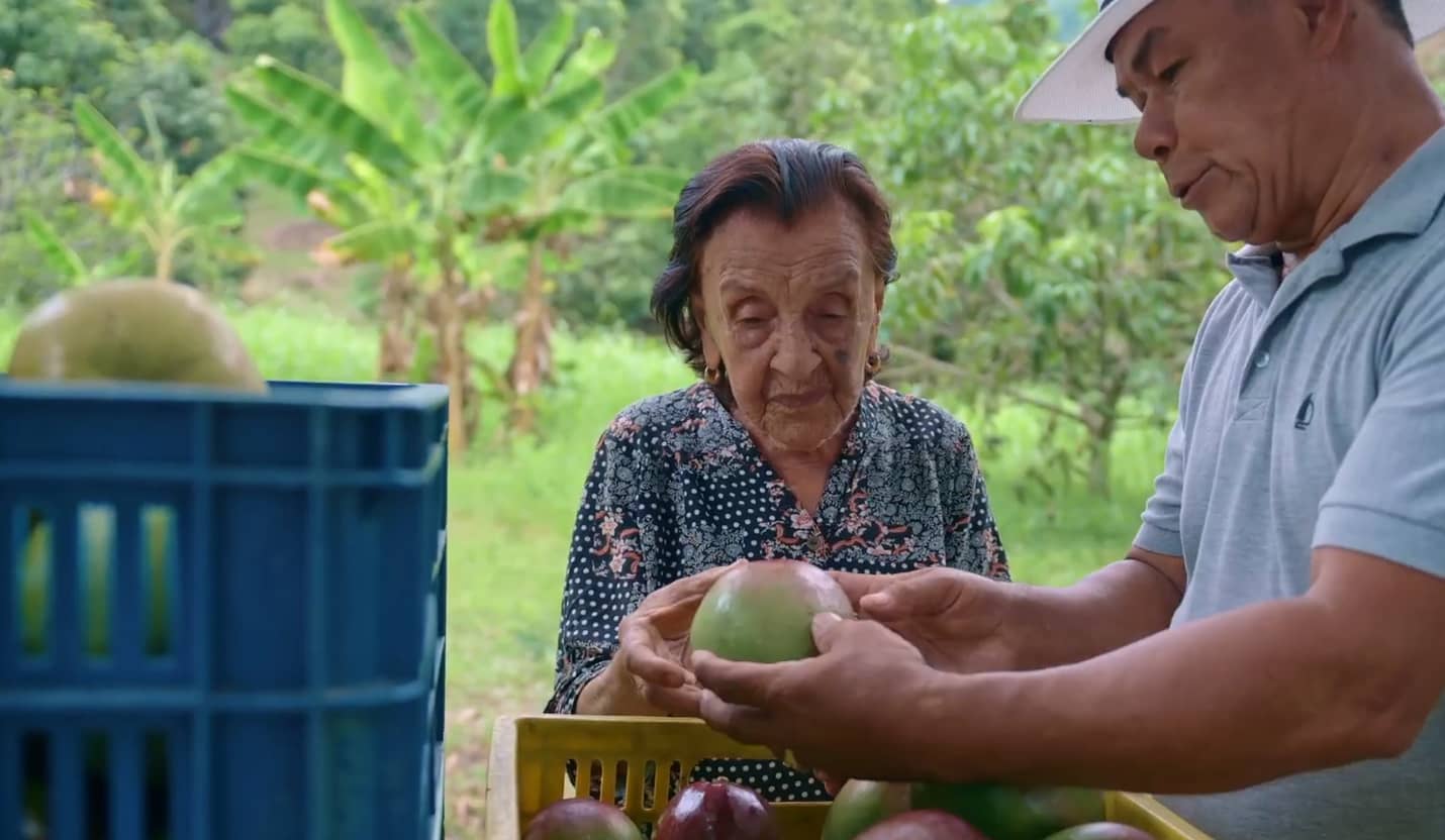 Empaque de nuestros mangos.png