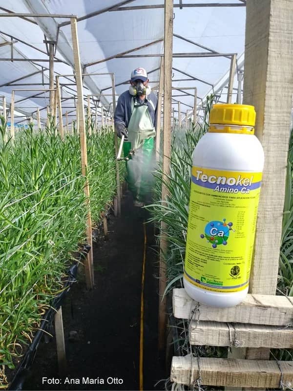 Fertilizante Tecnokel Amino Ca x 1 Lt