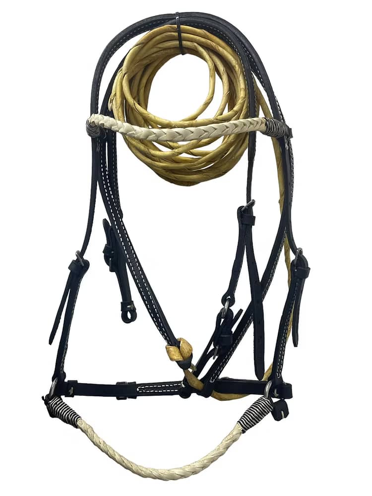 Apero de Cabeza Faraón Crisneja