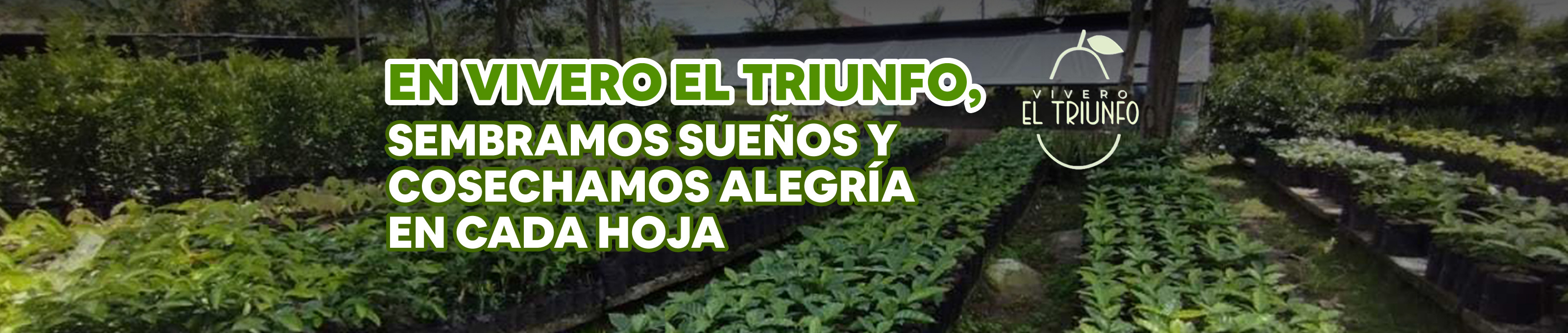 Vivero El Triunfo