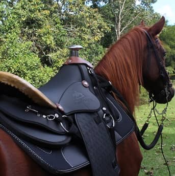 Silla Pantanera De Vaquería MESACÉ - Negra