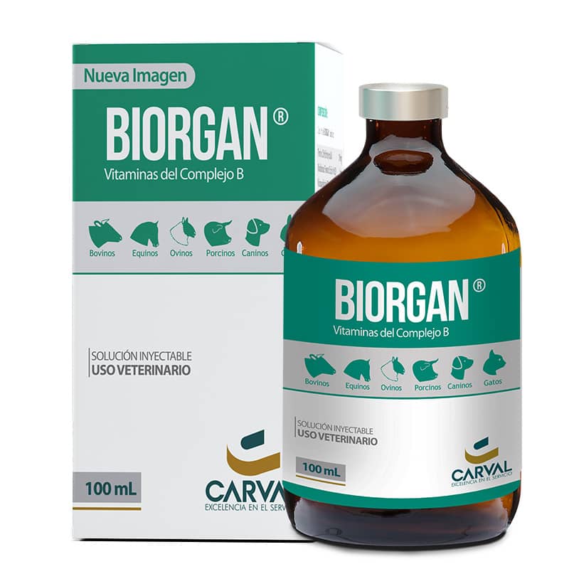 Vitamina del complejo B - Biorgan x 50 Ml