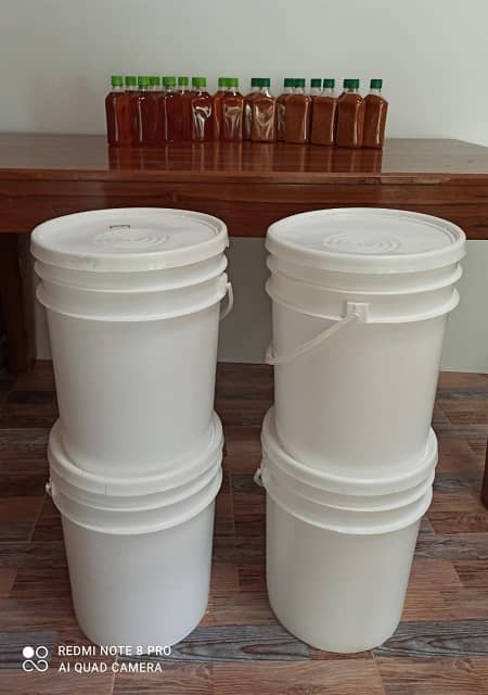 Apiario Palmas Miel de Abeja