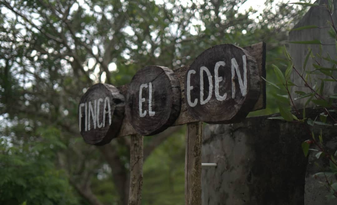 Captura de pantalla 2025-02-19 142159.png