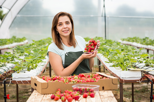 Ana con la cosecha de las fresas.jpg