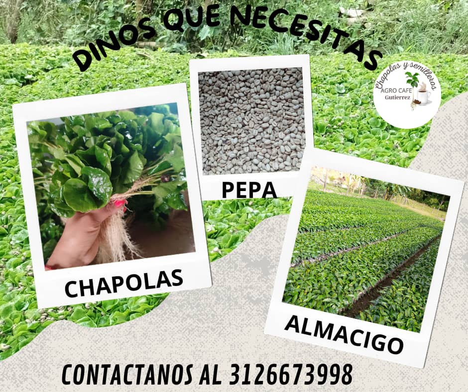 DINOS QUE NECESITAS (7).png