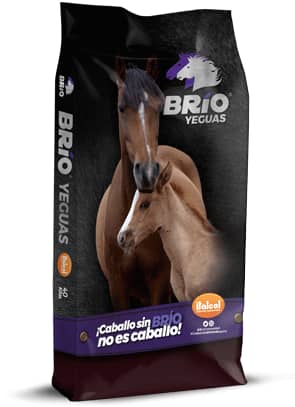 Sal Brío Yeguas x 40 kg