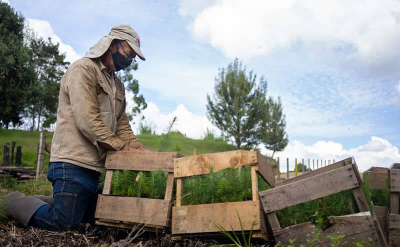 Sostenibilidad Avinal.png