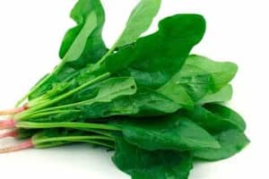 Espinaca
