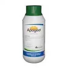APOGEO.jpg
