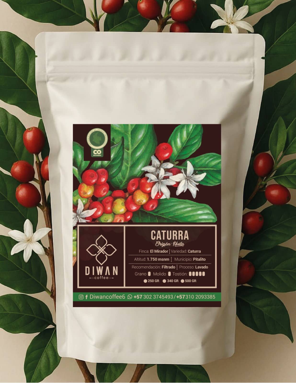 Café Caturra | Grano o Molido