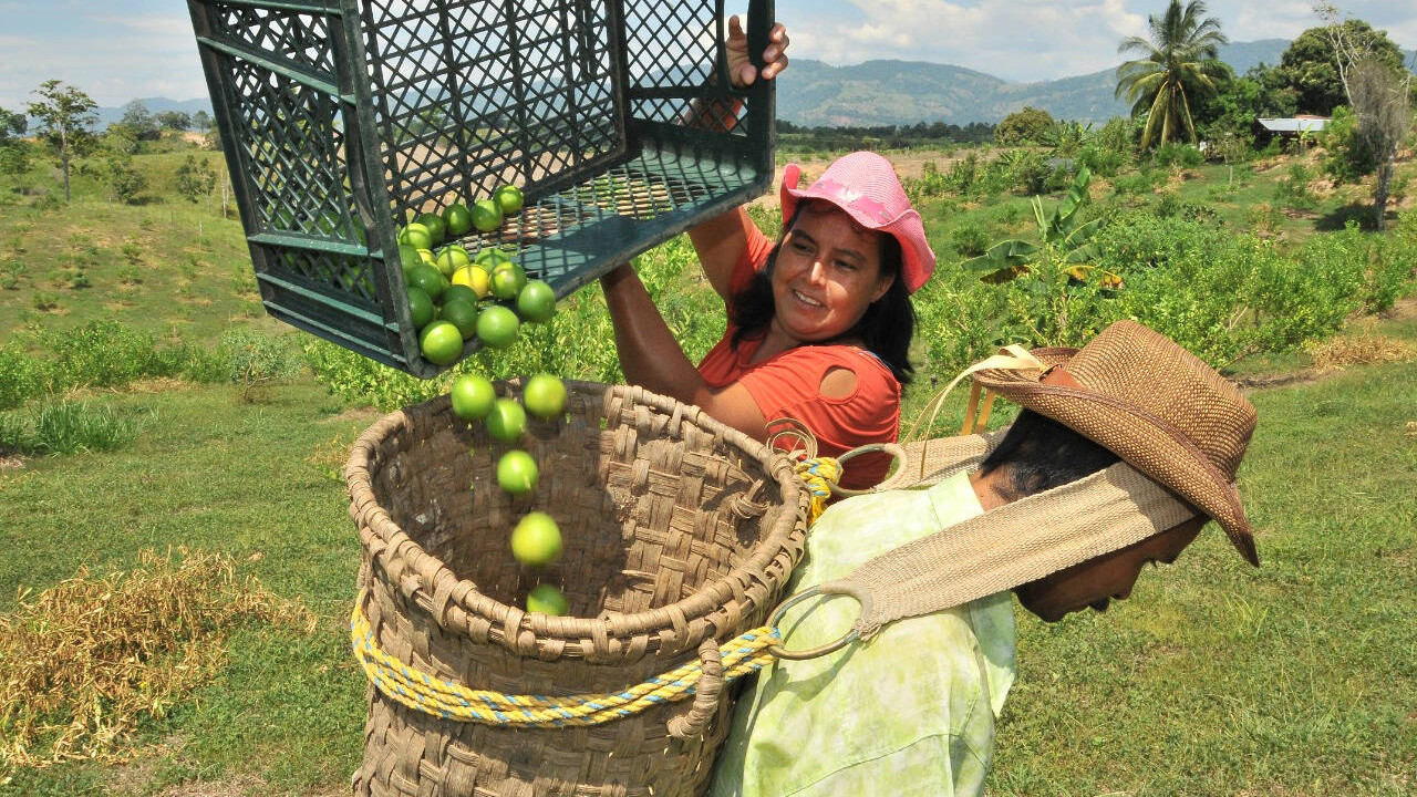 Línea Especial de Crédito Reforma Agraria para Pequeño Productor de ingresos bajos
