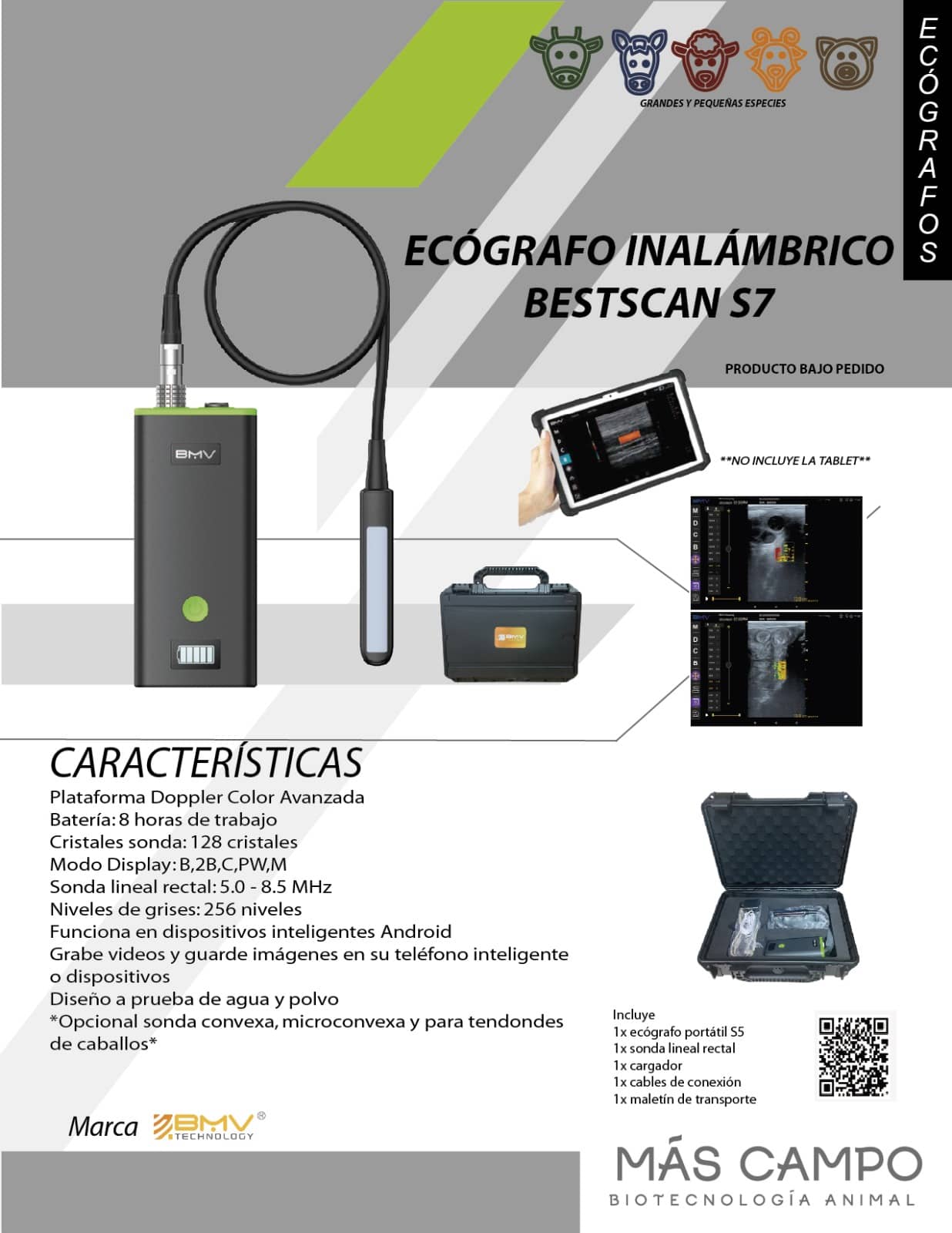 Sonda Doppler Color S7 Plus BMV | Ecografía Veterinaria Avanzada