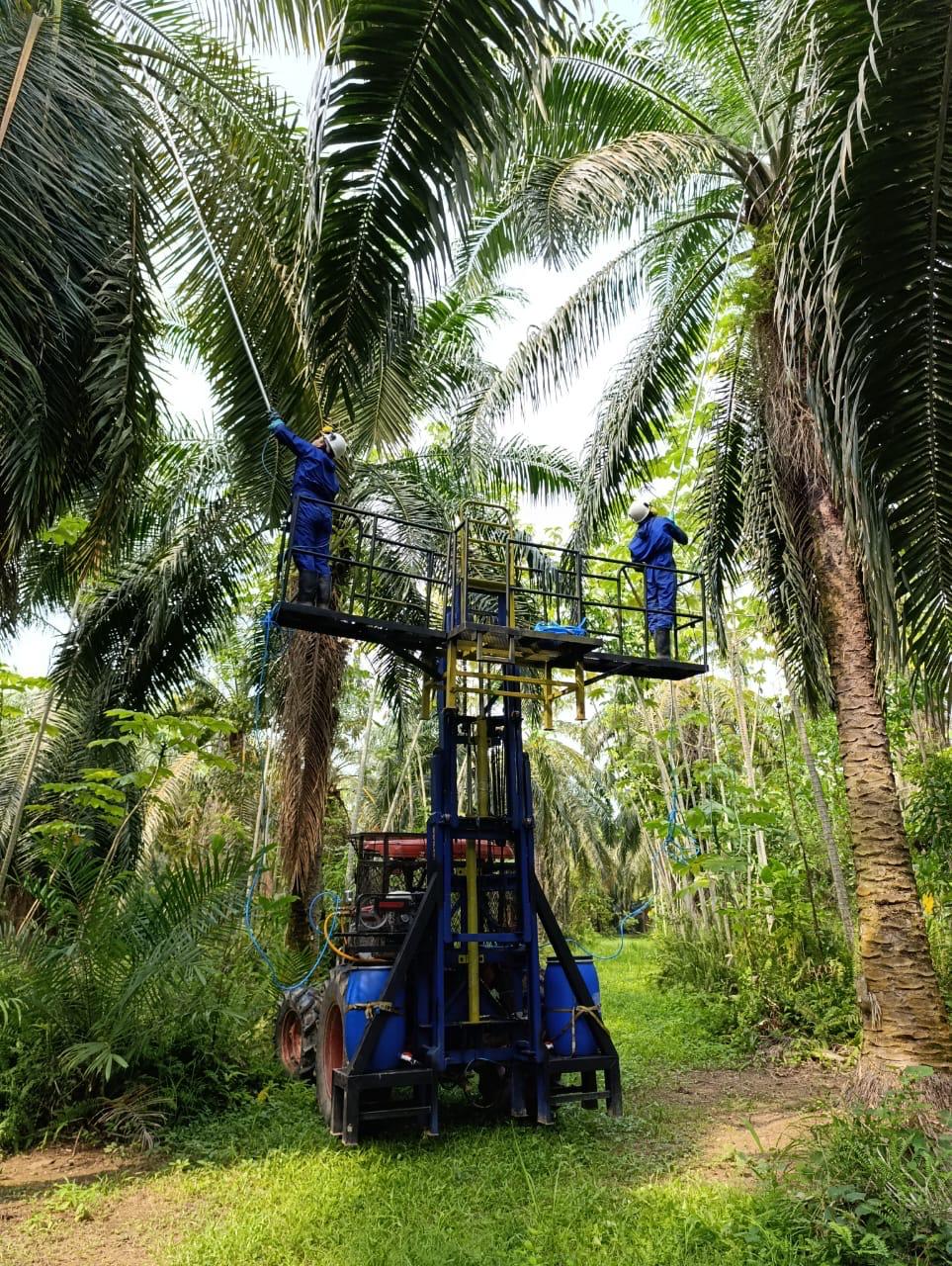 Elevador Tractorizado