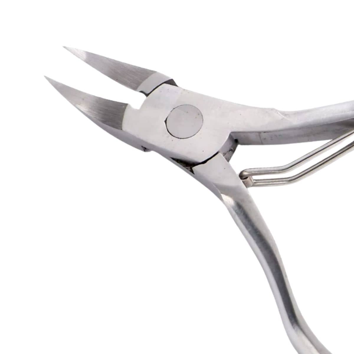 Alicate Corta Dientes Lechones | Acero Inoxidable