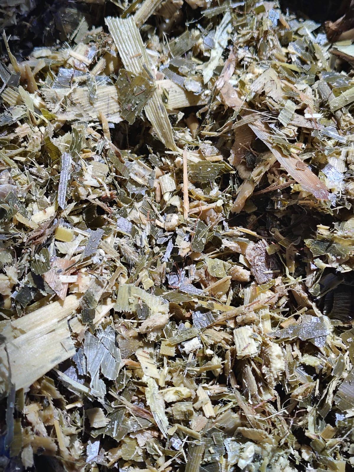 SILO&nbsp;DE&nbsp;MAIZ