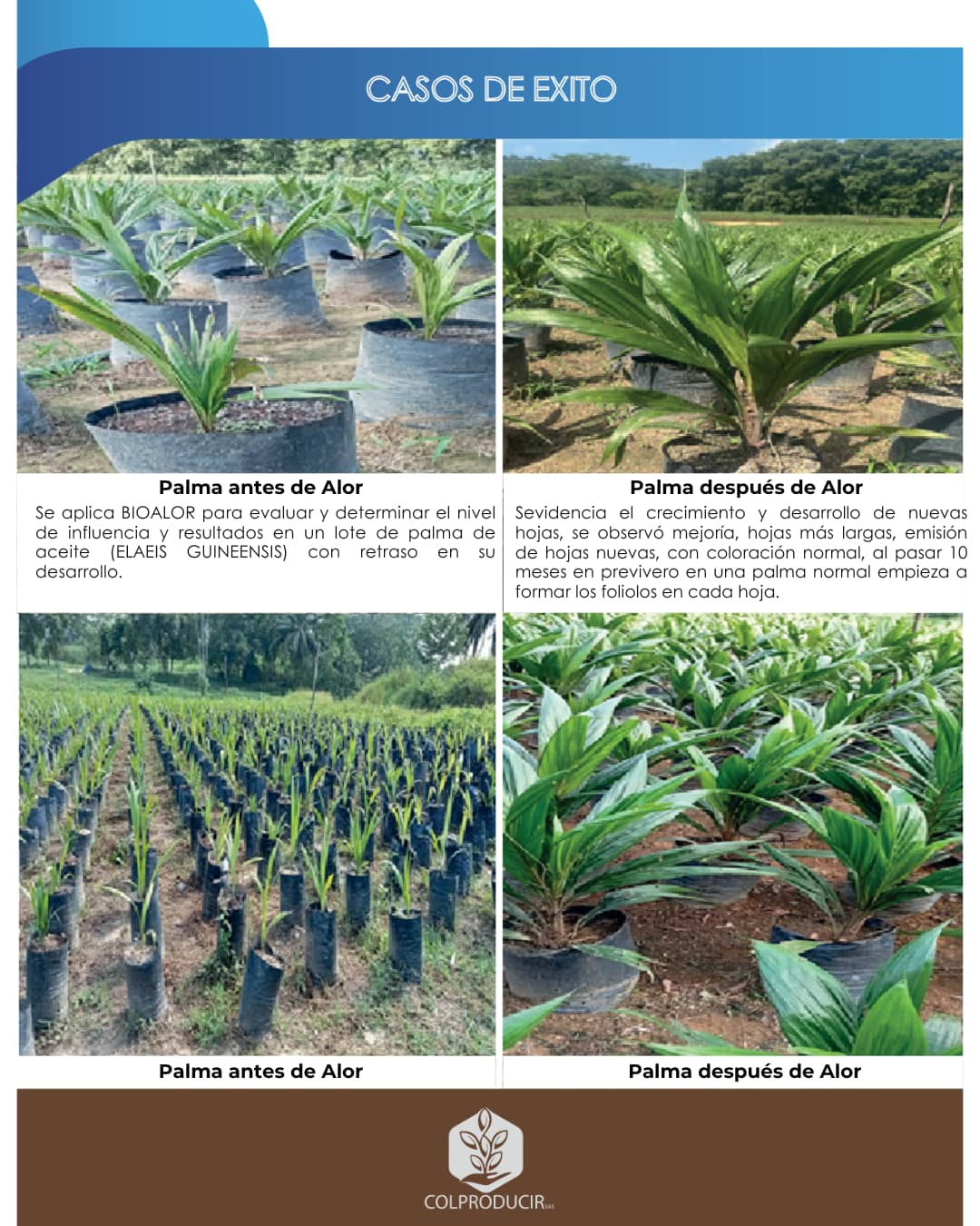 Bioestimulante Bioil Alor x 1kg