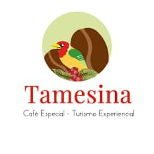 TAMESINA