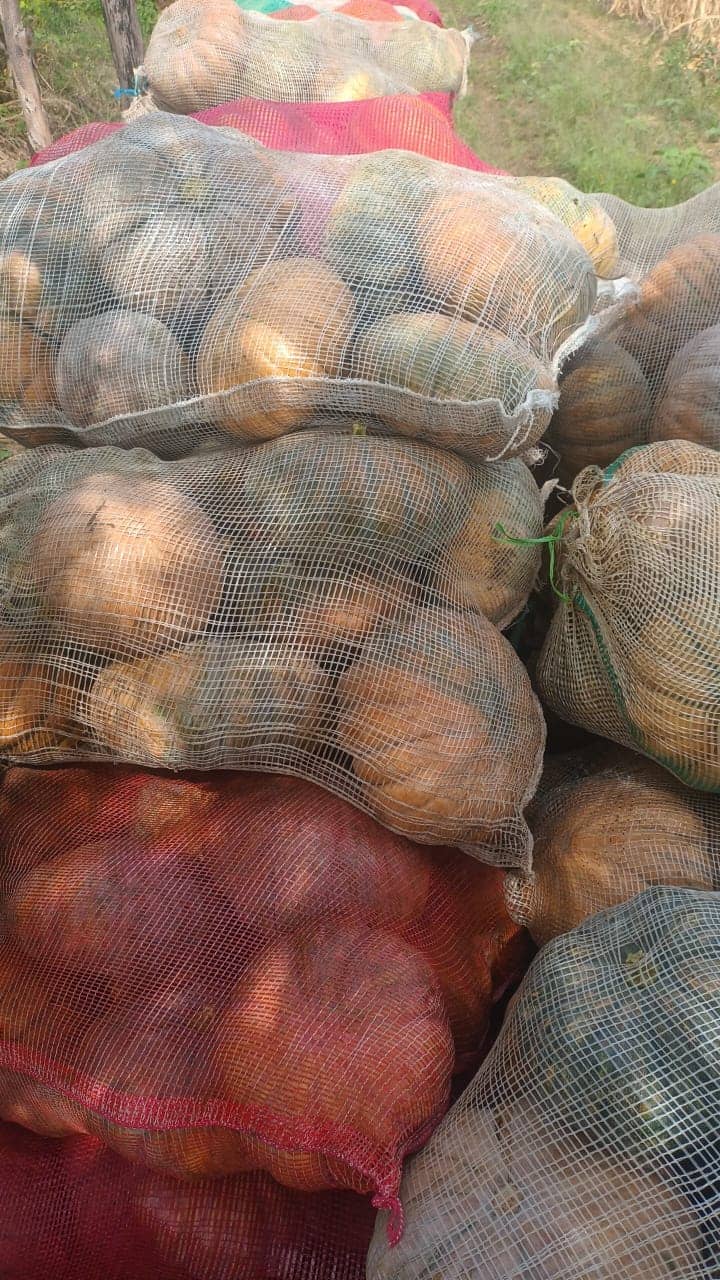 Imagen de WhatsApp 2025-02-21 a las 11.22.18_ecc35f11.jpg