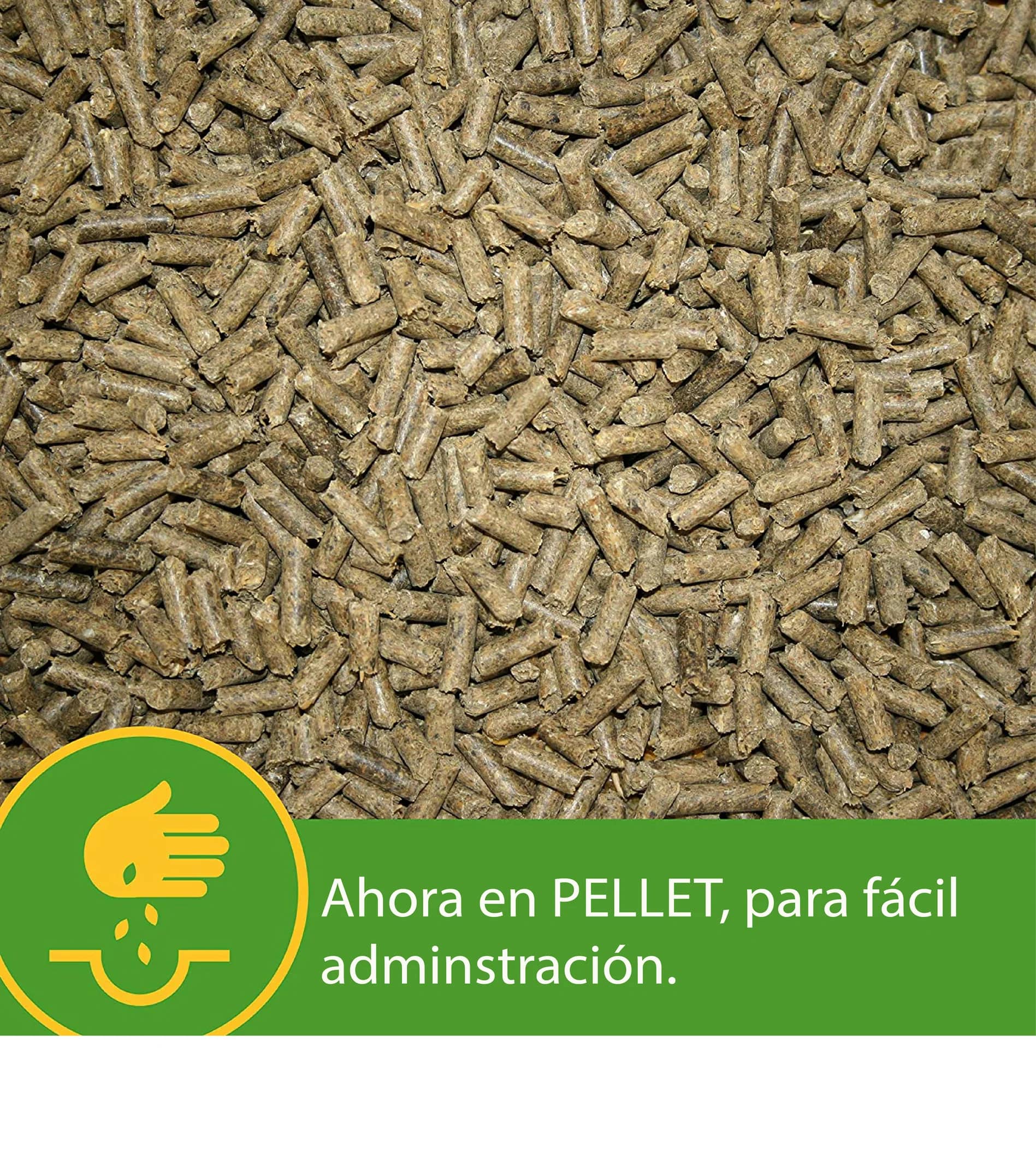 GROW COLT – Vitaminas y minerales para potros en desarrollo