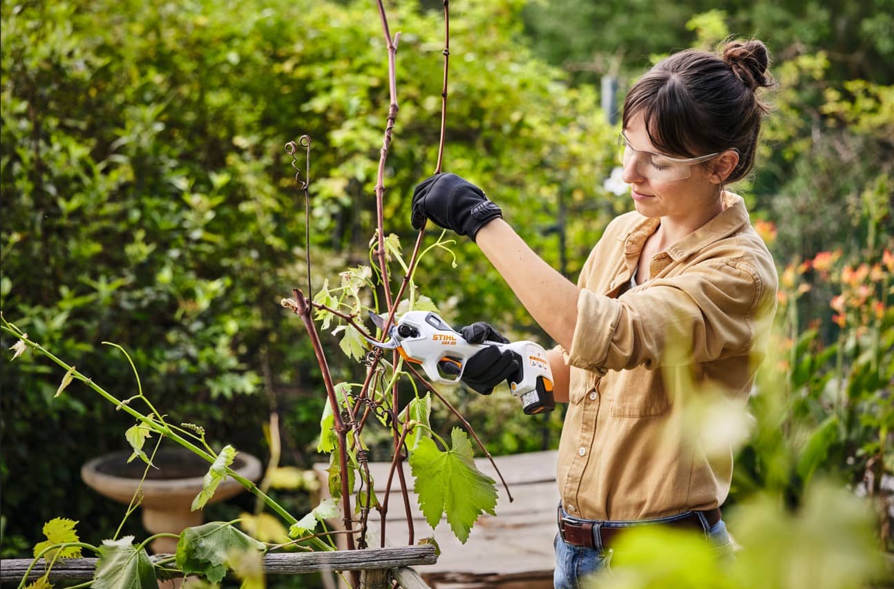 Tijeras de Podar a Batería STIHL ASA 20 | Cortes Precisos y Sin Fatiga para Jardines y Cultivos