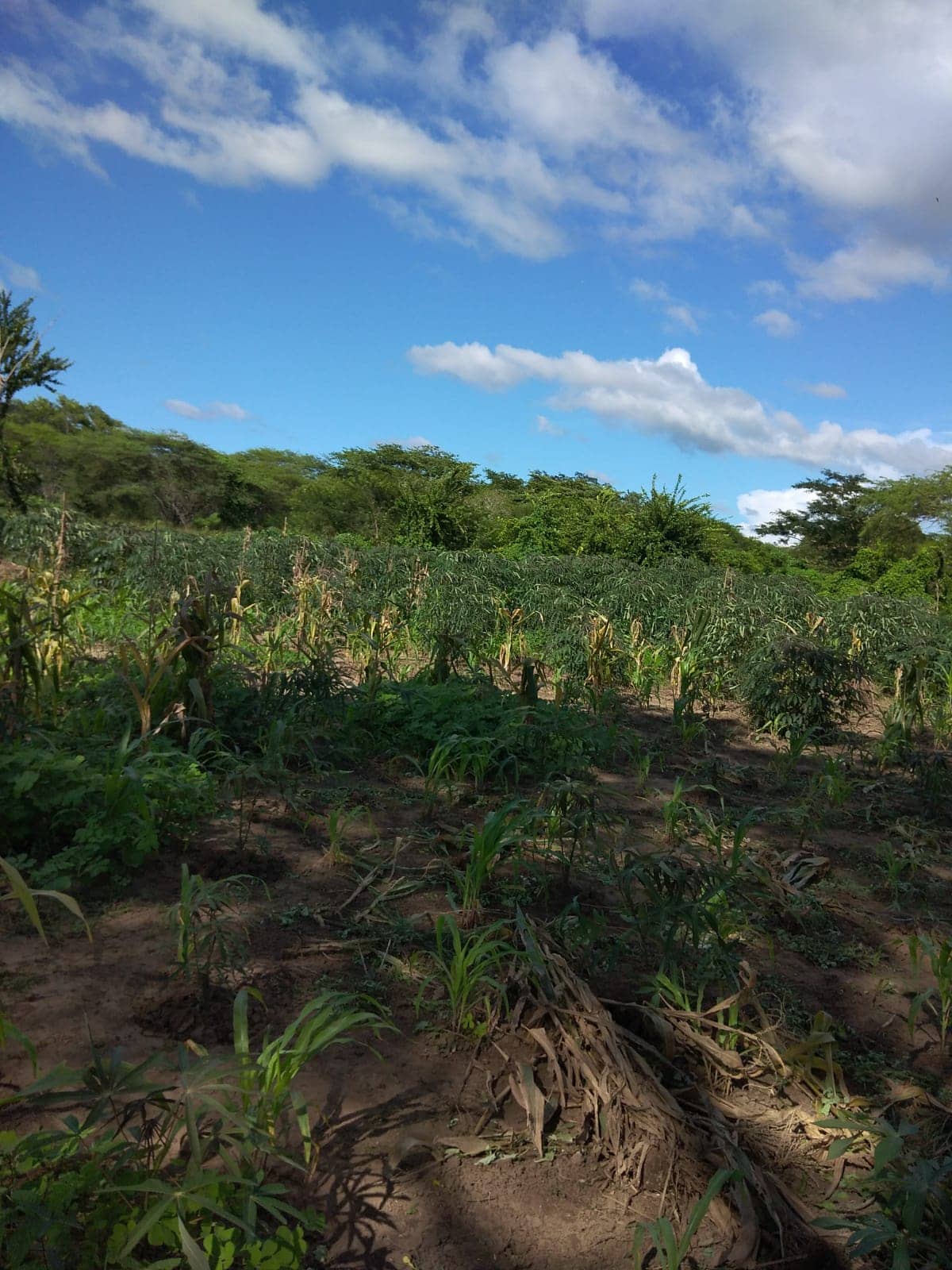 Imagen de WhatsApp 2025-02-21 a las 12.05.34_80356442.jpg