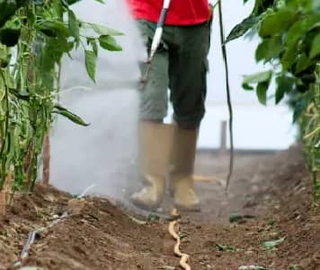 Sistema de Fumiducto Agrícola | Alta Eficiencia