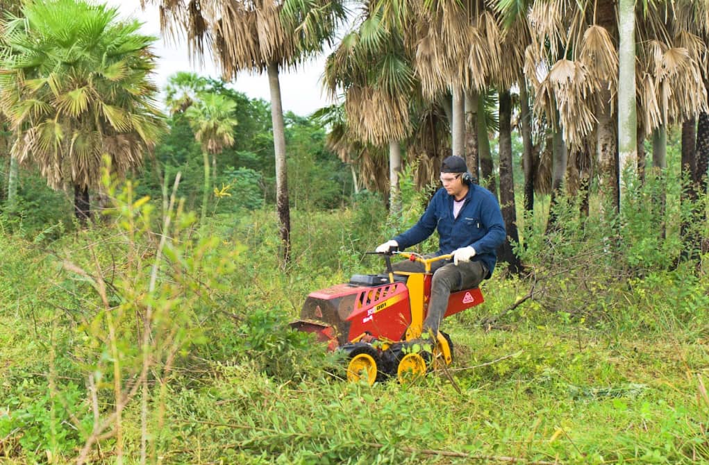 Desmalezadora Roland H001 5x4