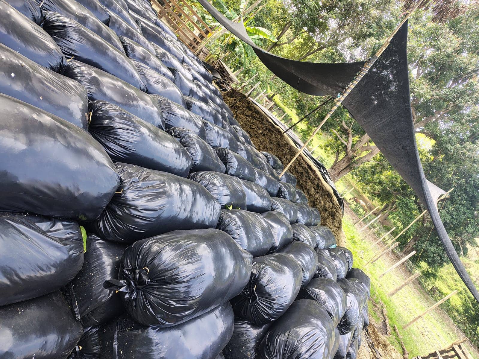 SILO&nbsp;DE&nbsp;MAIZ