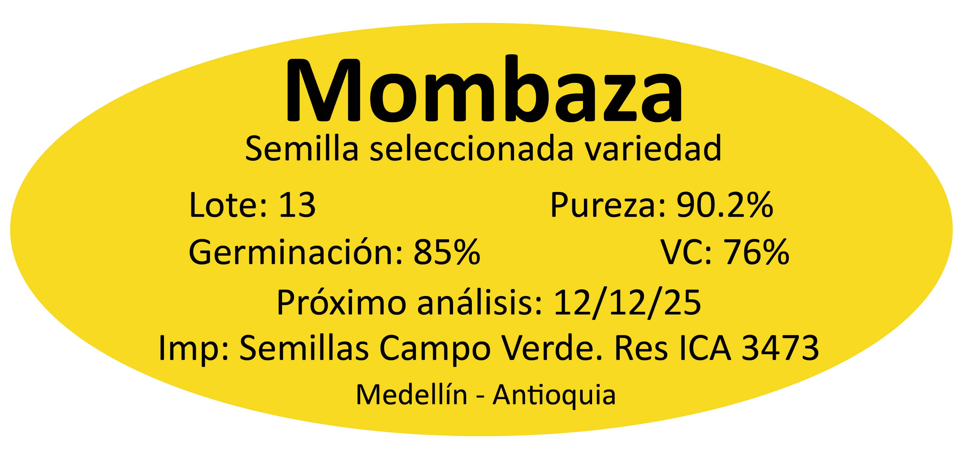 Semilla de pasto Panicum Mombaza – Pureza 90,2% – VC 76% – Importada de Brasil
