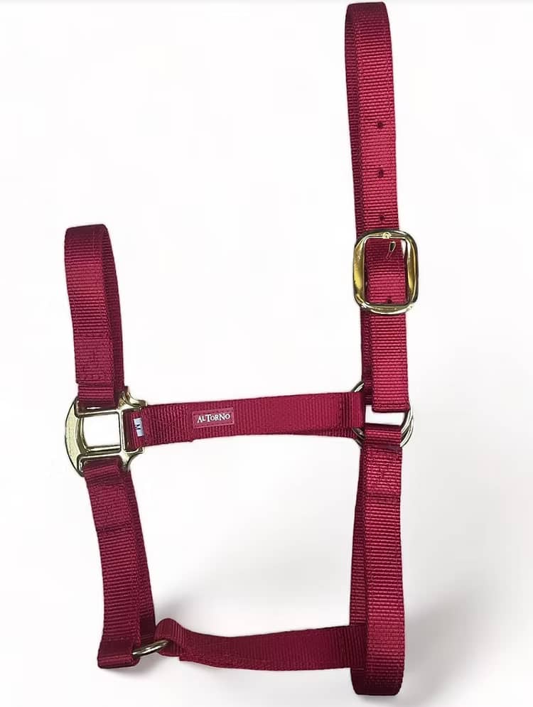 Jaquimón Reata para Potros de 6 a 15 Meses