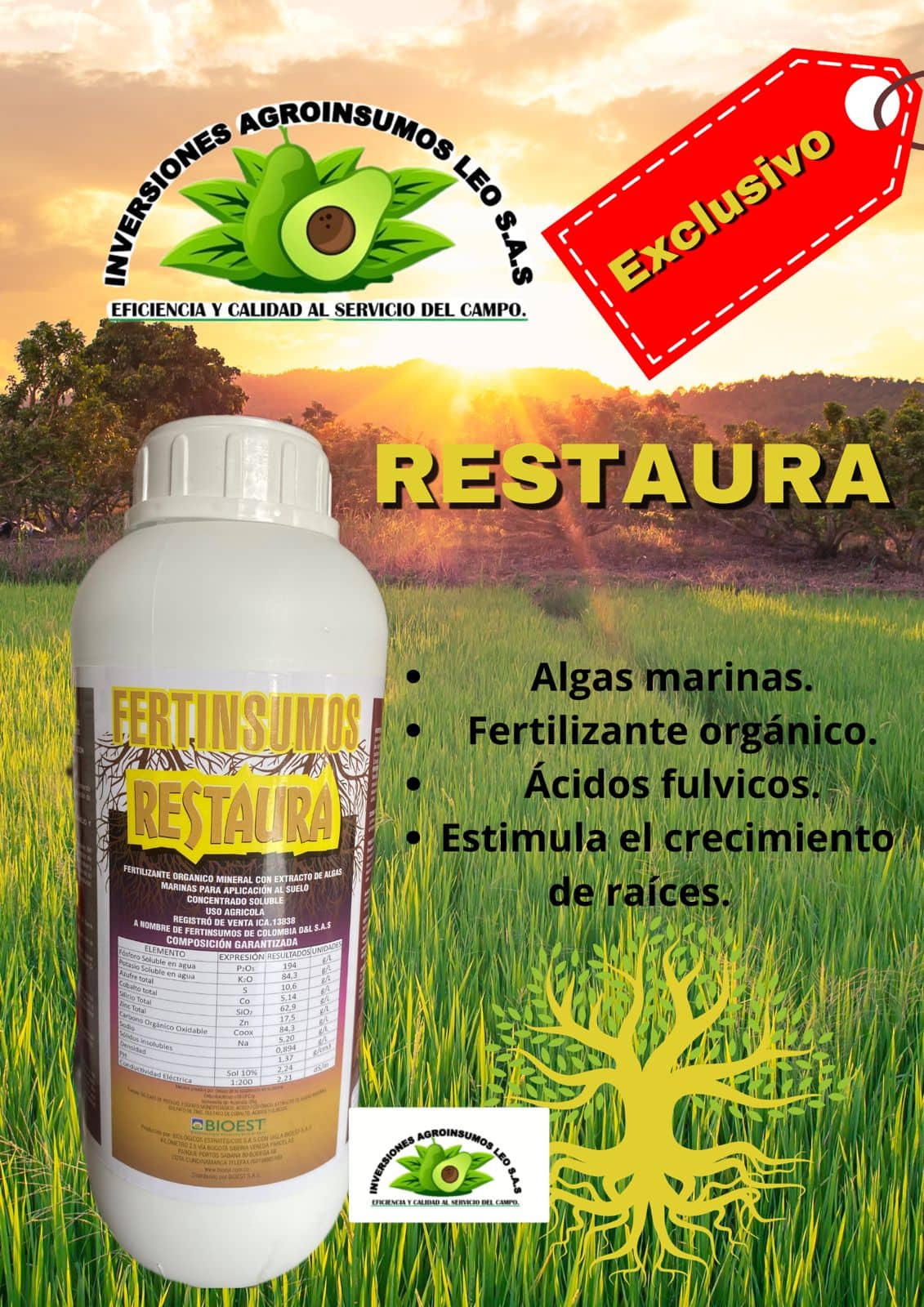 RESTAURA