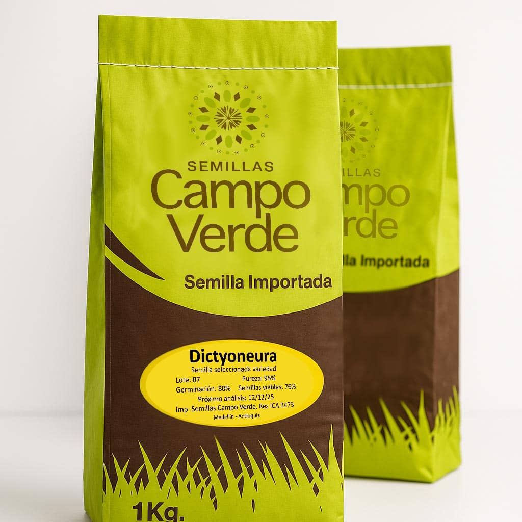 Semilla de pasto Brachiaria Llanero Dictyoneura – Pureza 95% – VC 76% - Importada de Brasil