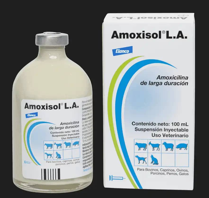 Antimicrobiano Amoxisol L.A x 100 y 50 Ml