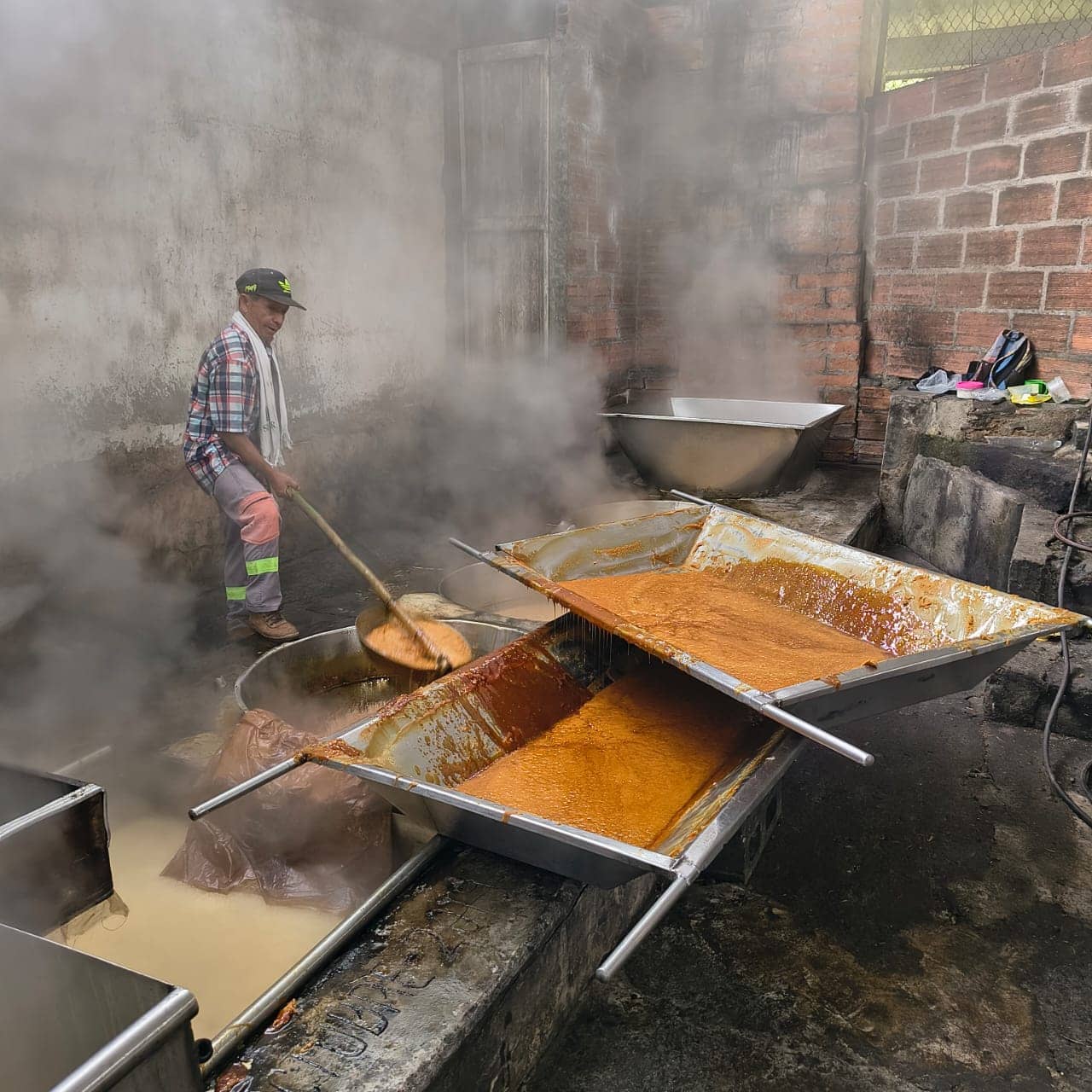 WhatsApp Image 2026-02-13 at 11.06.38 AM (2).jpeg