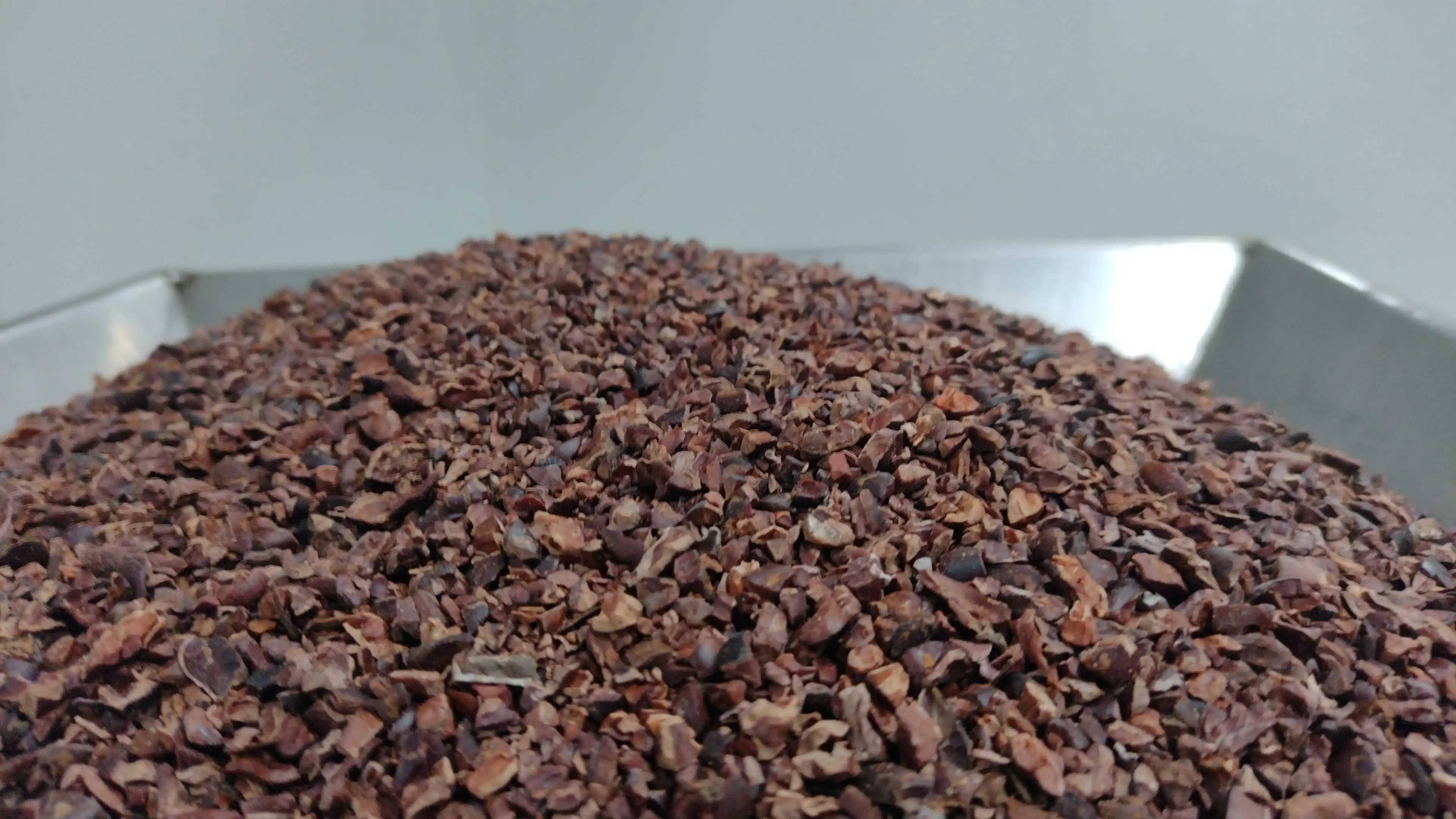 Nibs de Cacao Premium x 1 kg