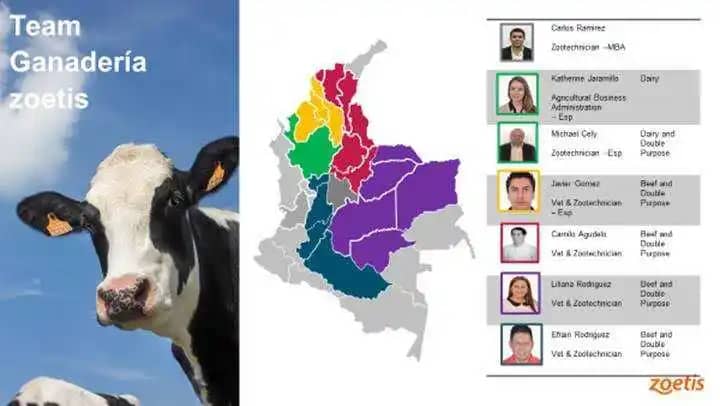 Equipo zoetis.jpg
