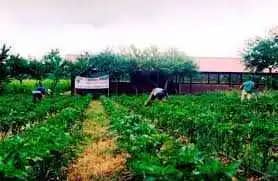 Agricultural demo Ramirez