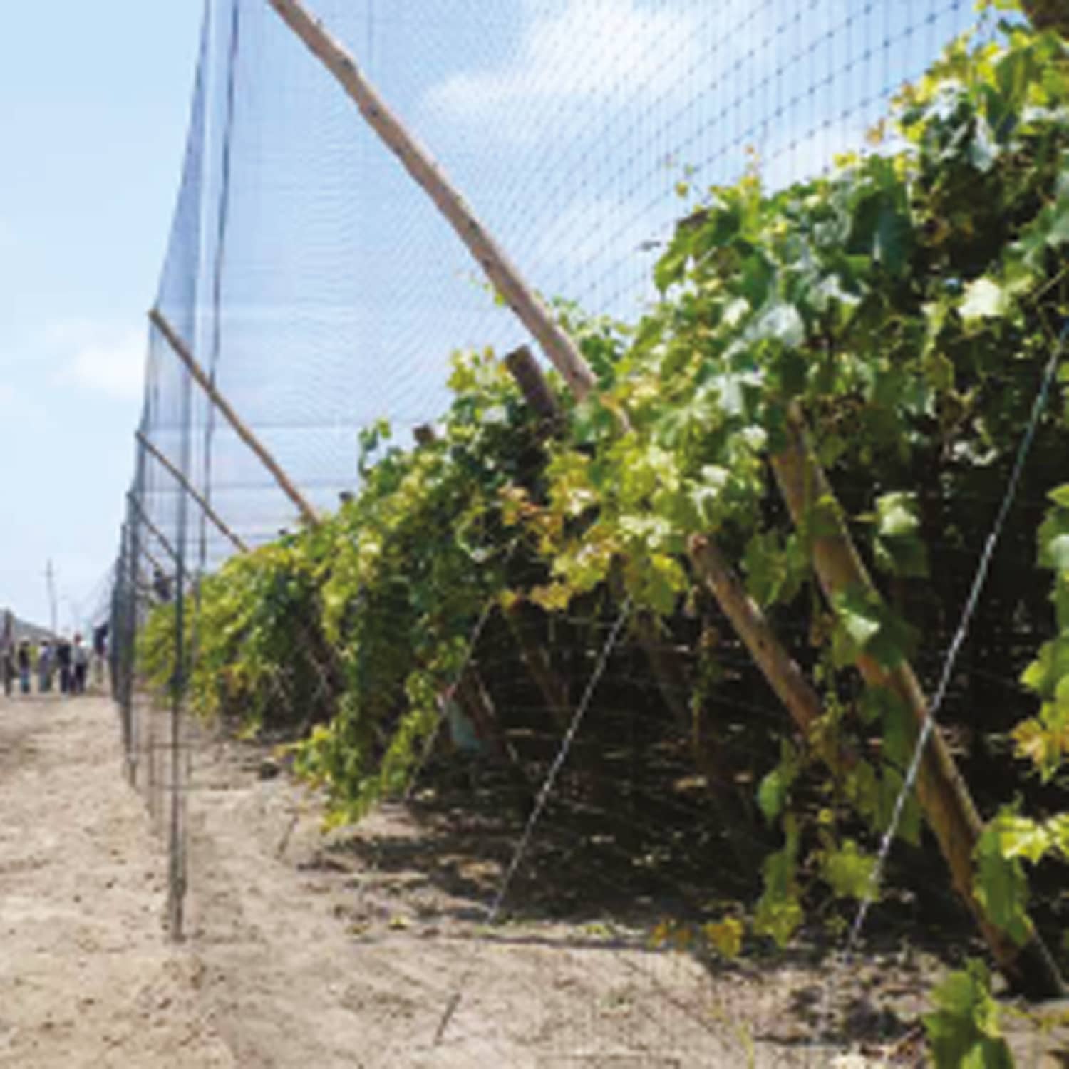 Malla Antipajaro - Protección de cultivos contra aves y depredadores