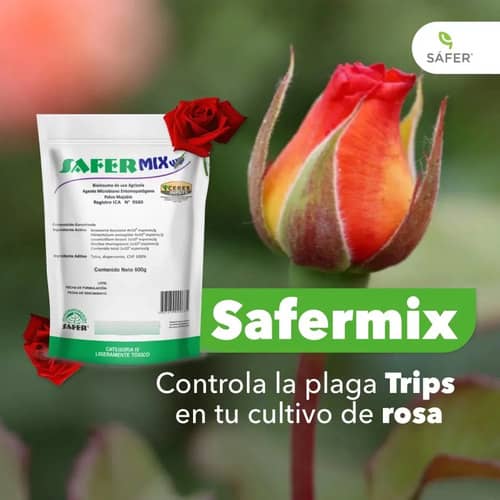 Safermix WP® | Insecticida Biológico Eficaz para Cultivos | Croper