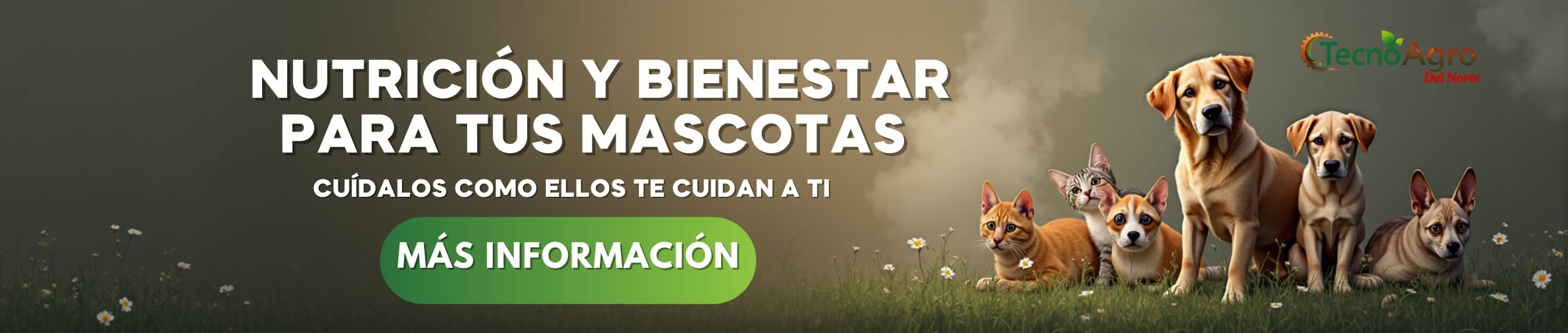 Tecnoagro del Norte