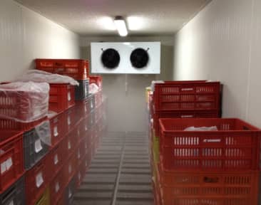 Cuarto Frío de Congelación Modular para Alimentos Perecederos