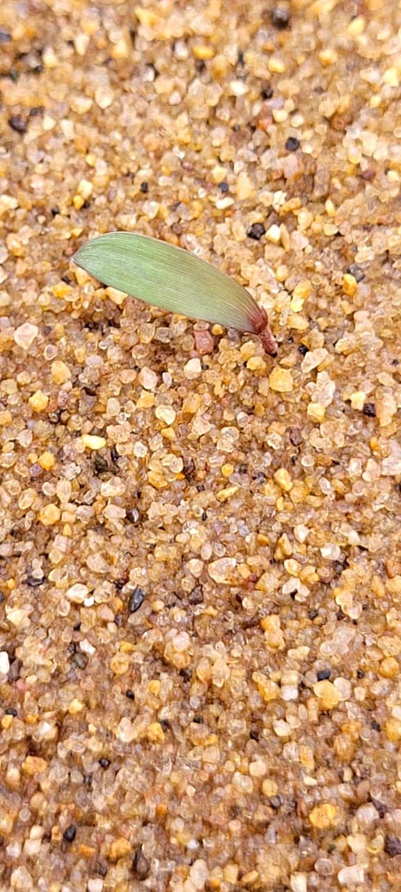 WhatsApp Image 2025-10-31 at 2.52.40 PM (2).jpeg