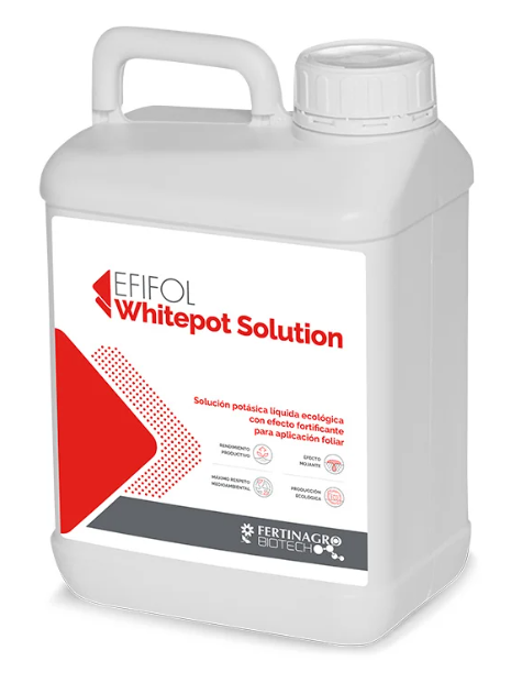 Solución potásica Whitepot Solution x 50 Kg