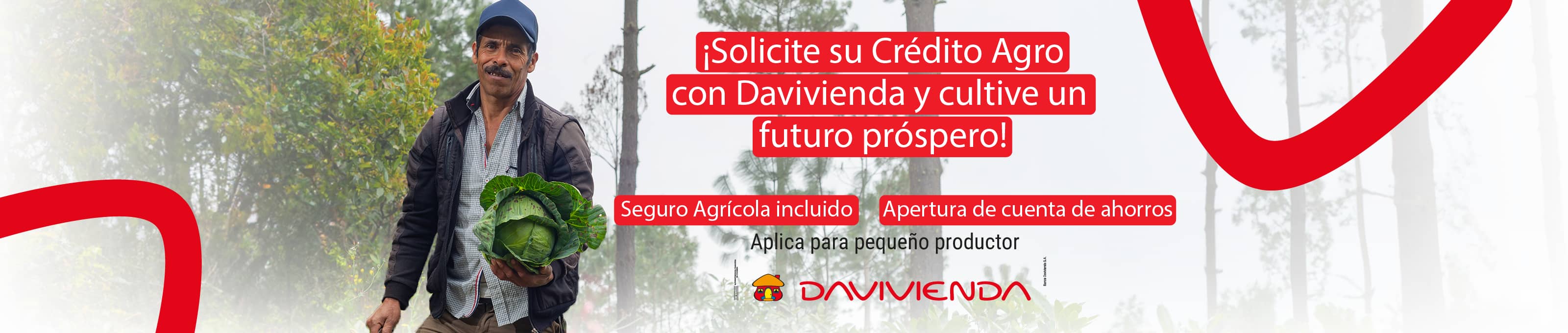 Banco Davivienda