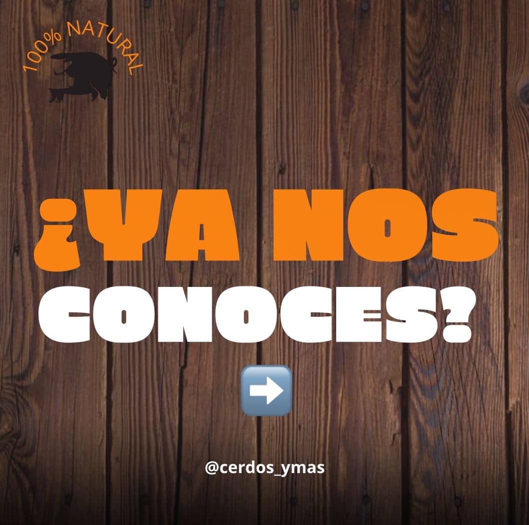 WhatsApp Image 2025-08-10 at 8.10.37 PM.jpeg