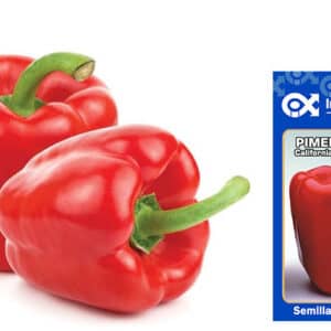 Peperone Nostrano Piacentino "Goccia D′Oro" - Vendita Piante Online - Foto 4