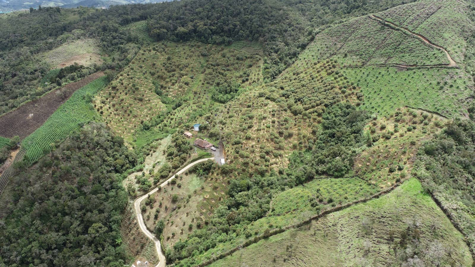 Finca de Aguacate Hass en Venta en Antioquia | Sol de Oriente